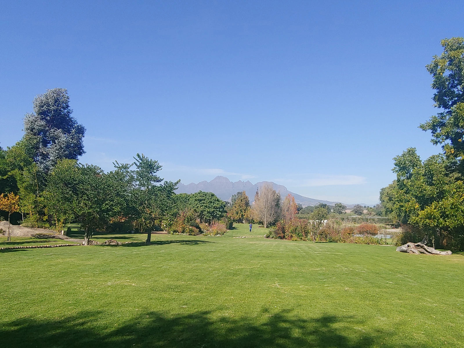 Plaaslik Restaurant & Venues, Vredenheim, Stellenbosch Wine District South Africa