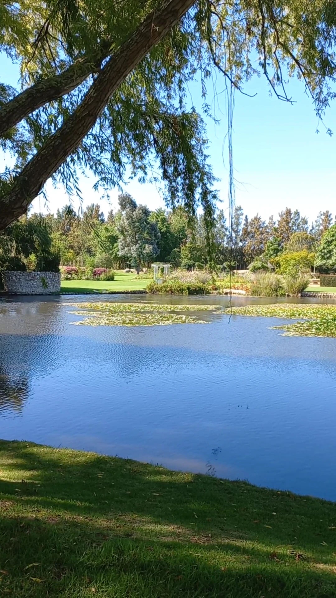 Plaaslik Restaurant & Venues, Vredenheim, Stellenbosch Wine District South Africa