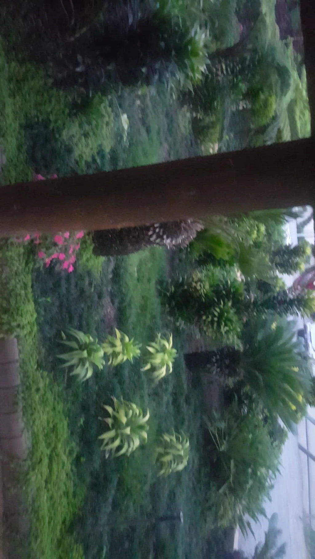 Pongola Country Lodge, Pongola South Africa