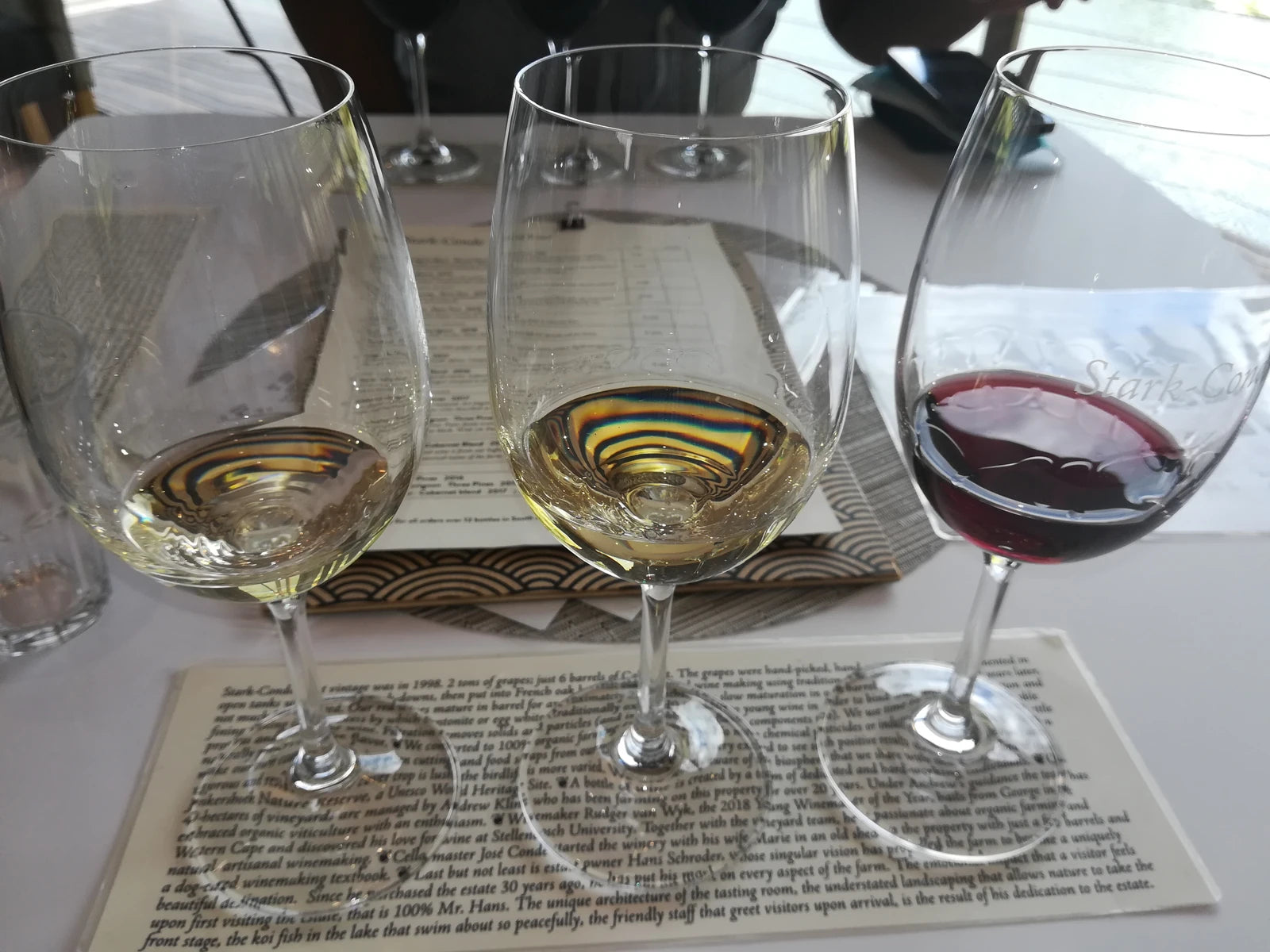 Postcard Café at Stark-Condé Wines, Stellenbosch South Africa
