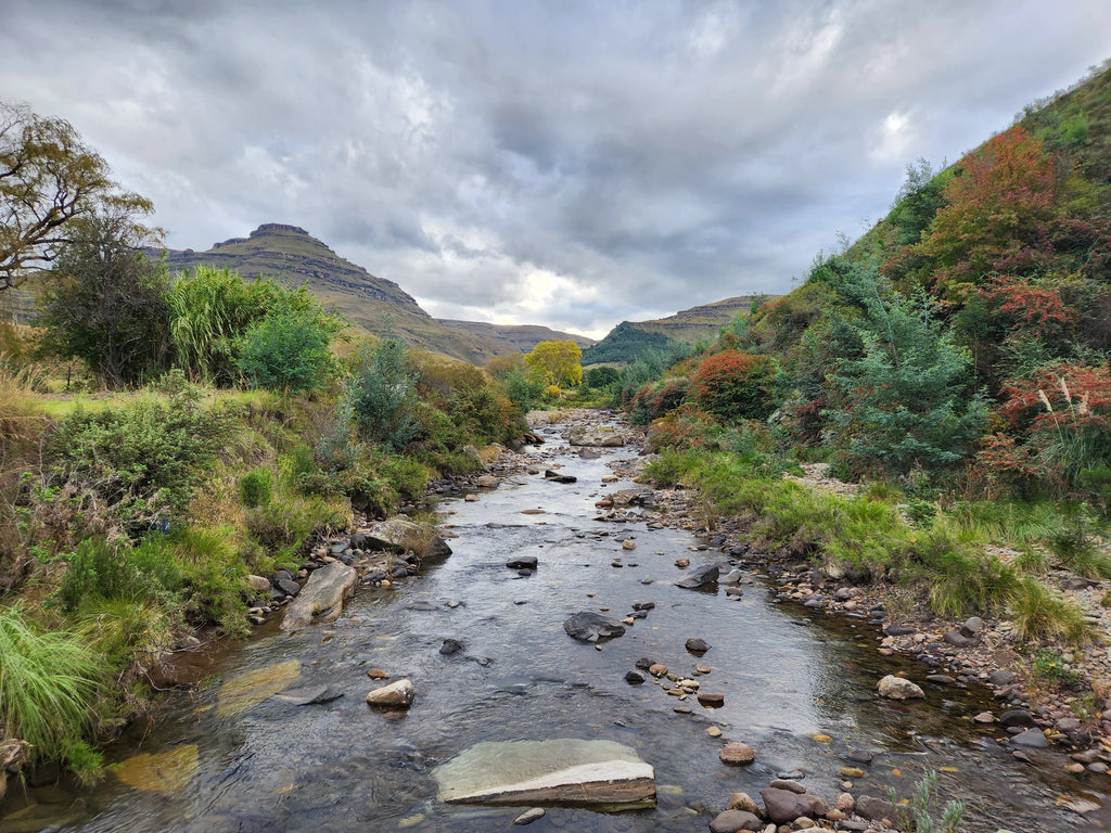 Premier Resort Sani Pass, Himeville South Africa
