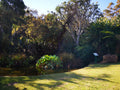 Pretoria National Botanical Gardens, Pretoria South Africa
