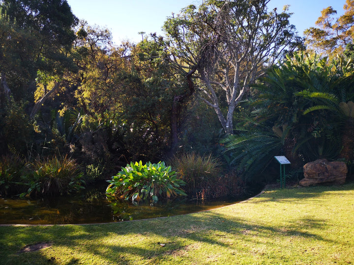 Pretoria National Botanical Gardens
