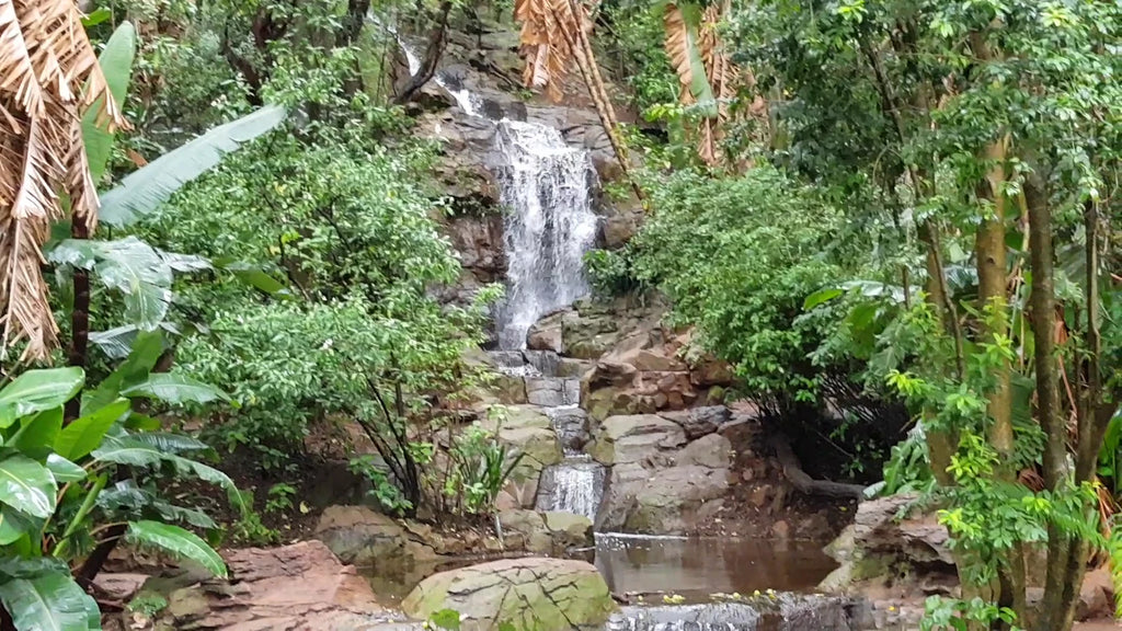 Pretoria National Botanical Gardens, Pretoria South Africa