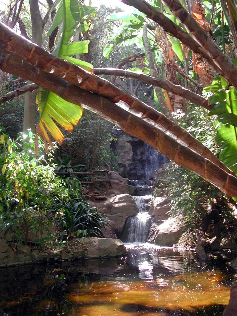 Pretoria National Botanical Gardens, Pretoria South Africa