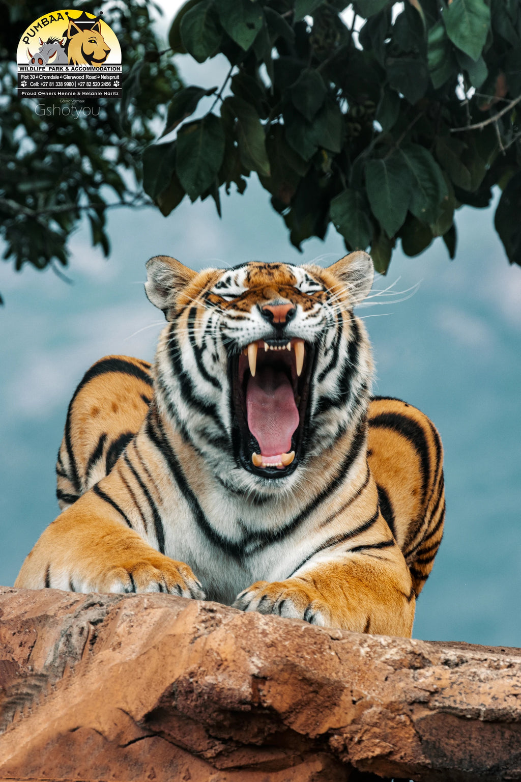 Pumbaa Wildlife Park & Accommodation, Mbombela South Africa