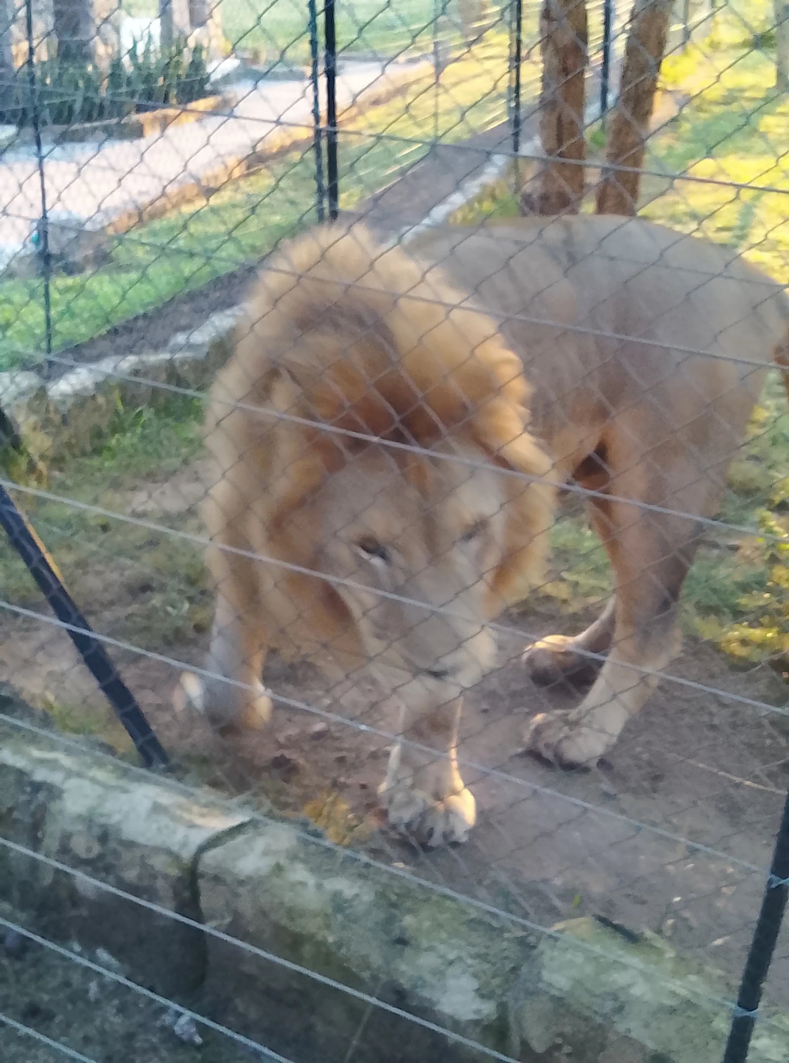 Pumbaa Wildlife Park & Accommodation, Mbombela South Africa
