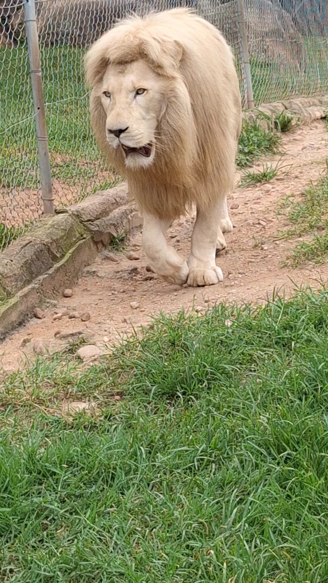 Pumbaa Wildlife Park & Accommodation, Mbombela South Africa