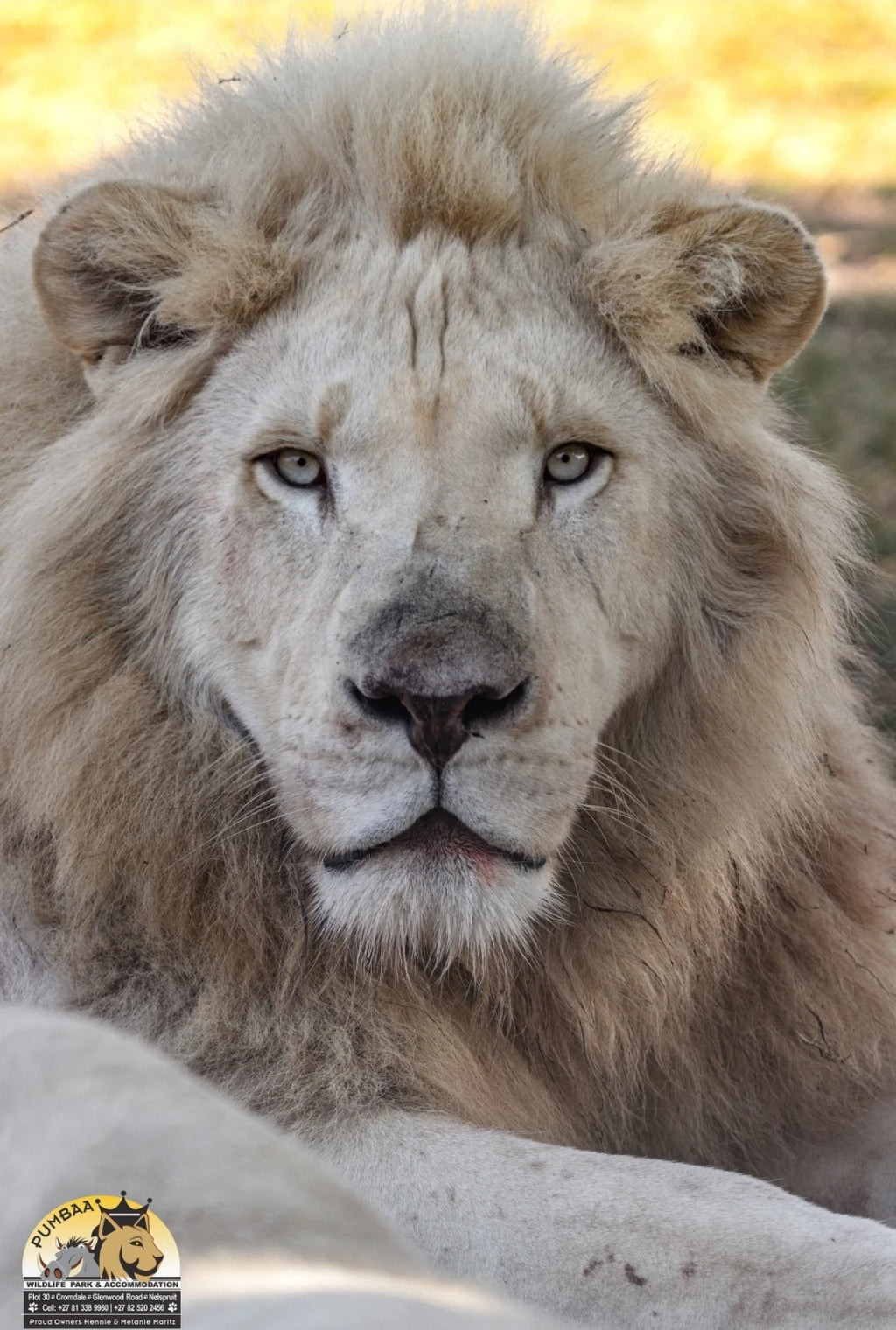 Pumbaa Wildlife Park & Accommodation, Mbombela South Africa