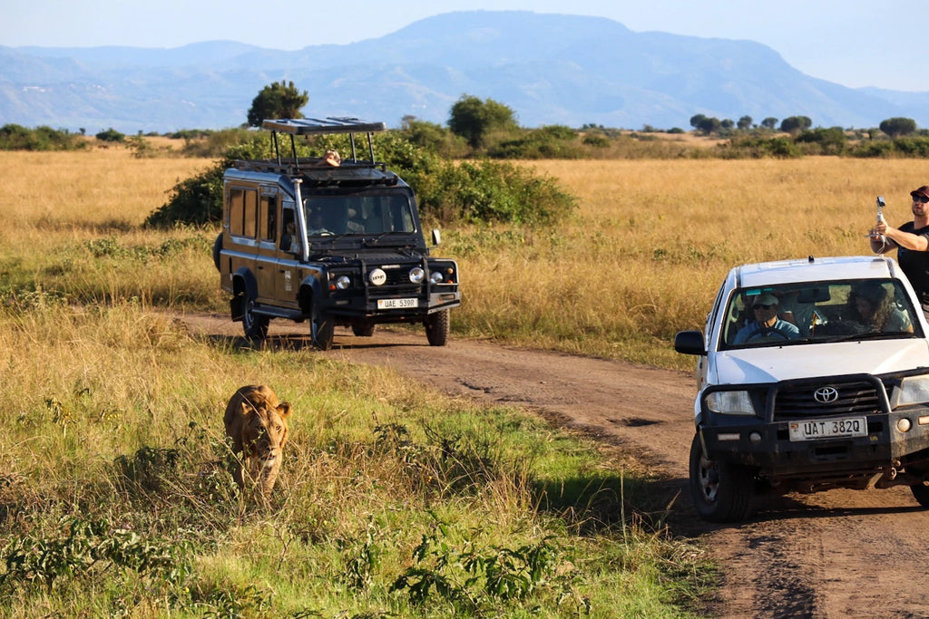 Queen Elizabeth National Park,  Uganda
