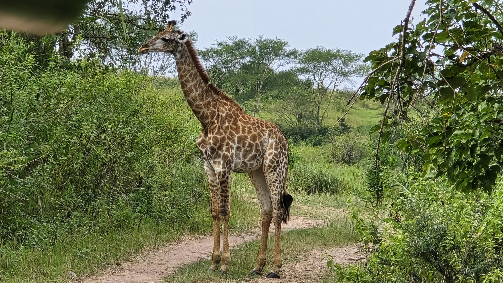 Rain Farm Game Lodge, Umhlali South Africa