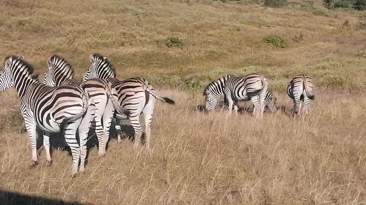 Rain Farm Game Lodge, Umhlali South Africa