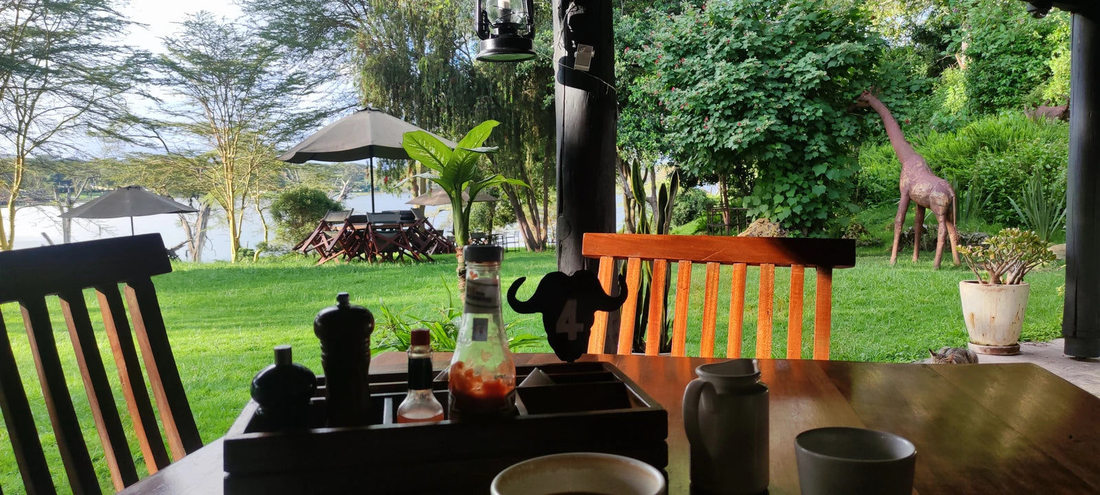 Ranch House Bistro, 
Own Building La Pieve ltd Naivasha Kongoni Kenya