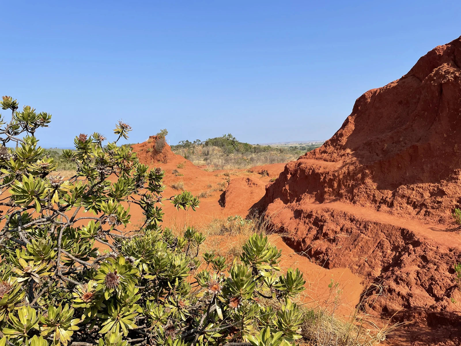 Red Desert, Port Edward South Africa