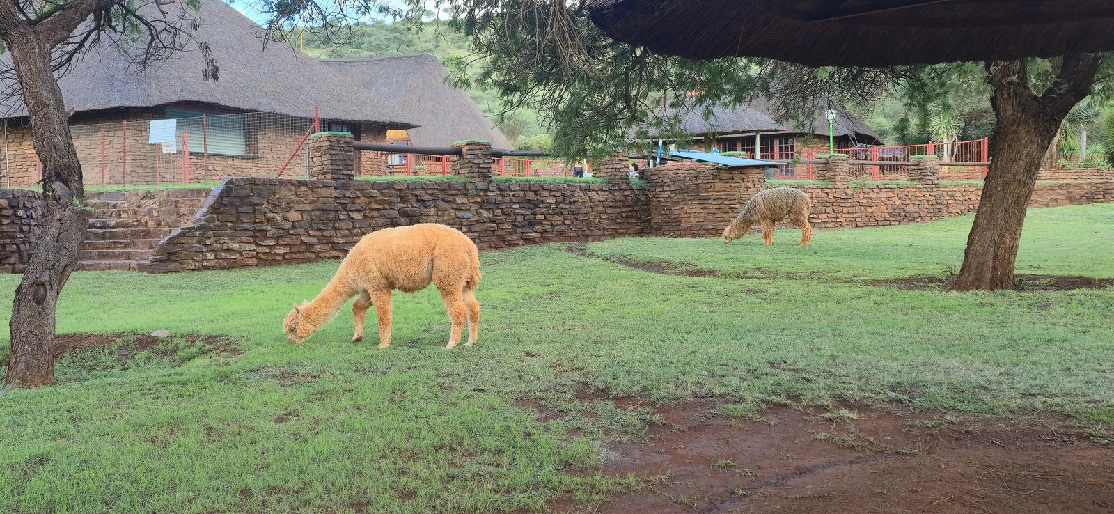 Red Sands Country Lodge, Kuruman South Africa