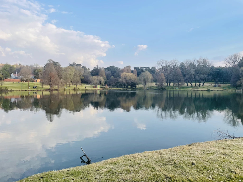 Rhodes Park, Johannesburg South Africa