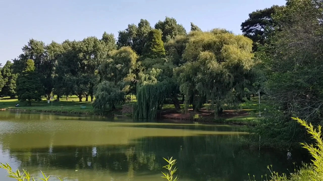 Rhodes Park, Johannesburg South Africa
