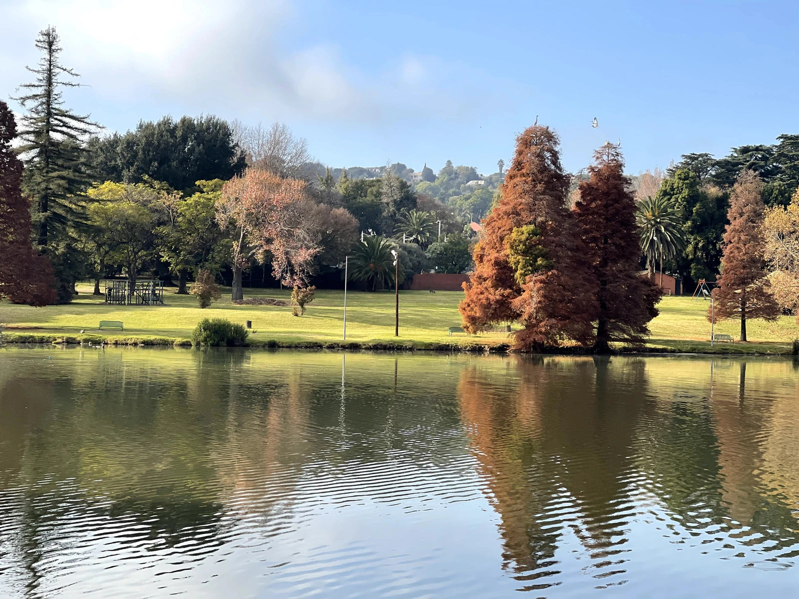 Rhodes Park, Johannesburg South Africa