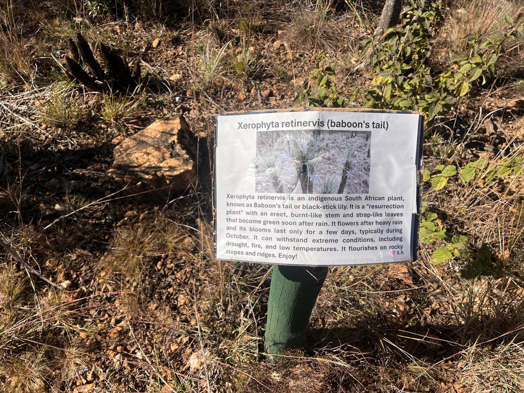 Rietfontein Nature Reserve, Sandton South Africa