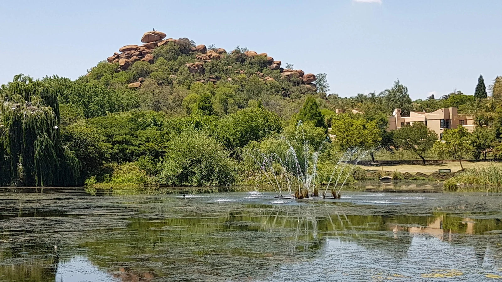 Rietfontein Nature Reserve, Sandton South Africa