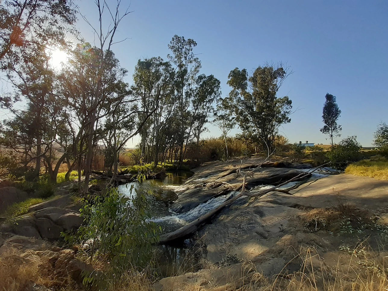 Rietfontein Nature Reserve, Sandton South Africa