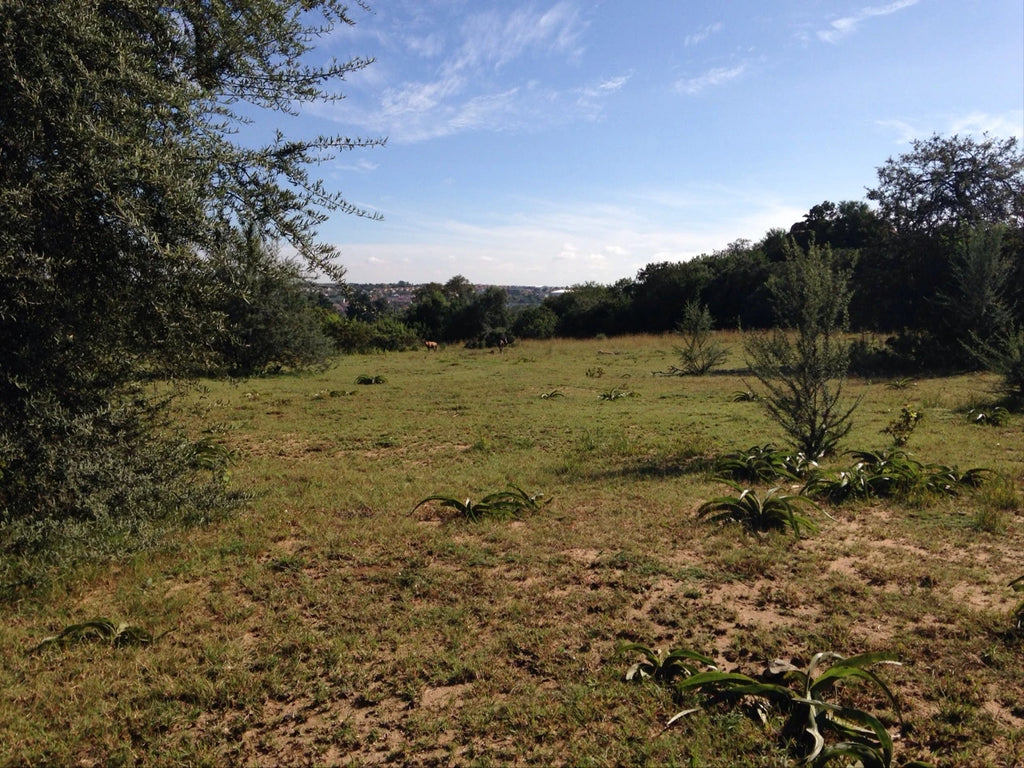 Rietfontein Nature Reserve, Sandton South Africa