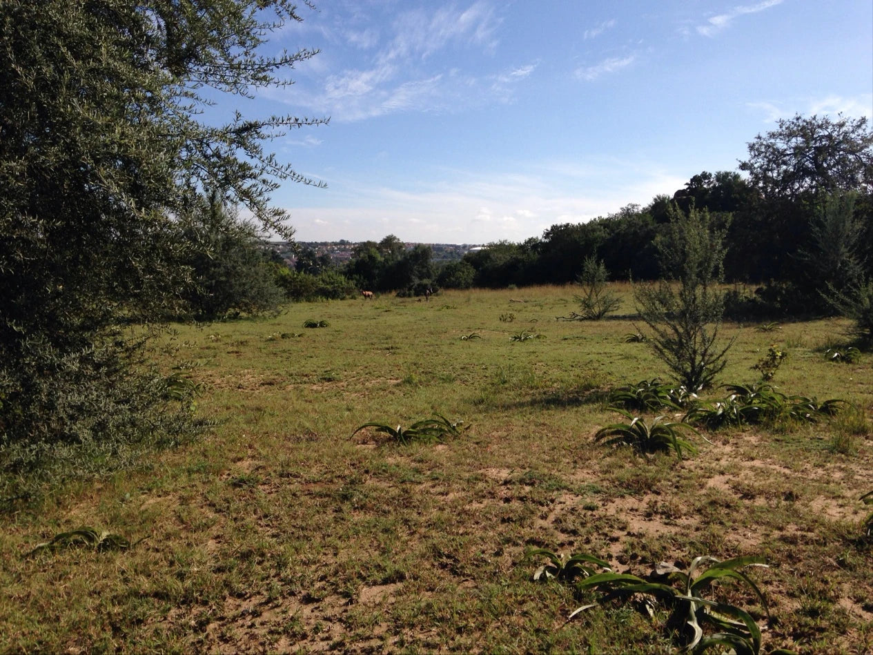Rietfontein Nature Reserve, Sandton South Africa