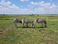 Rietvlei Nature Reserve, Pretoria South Africa