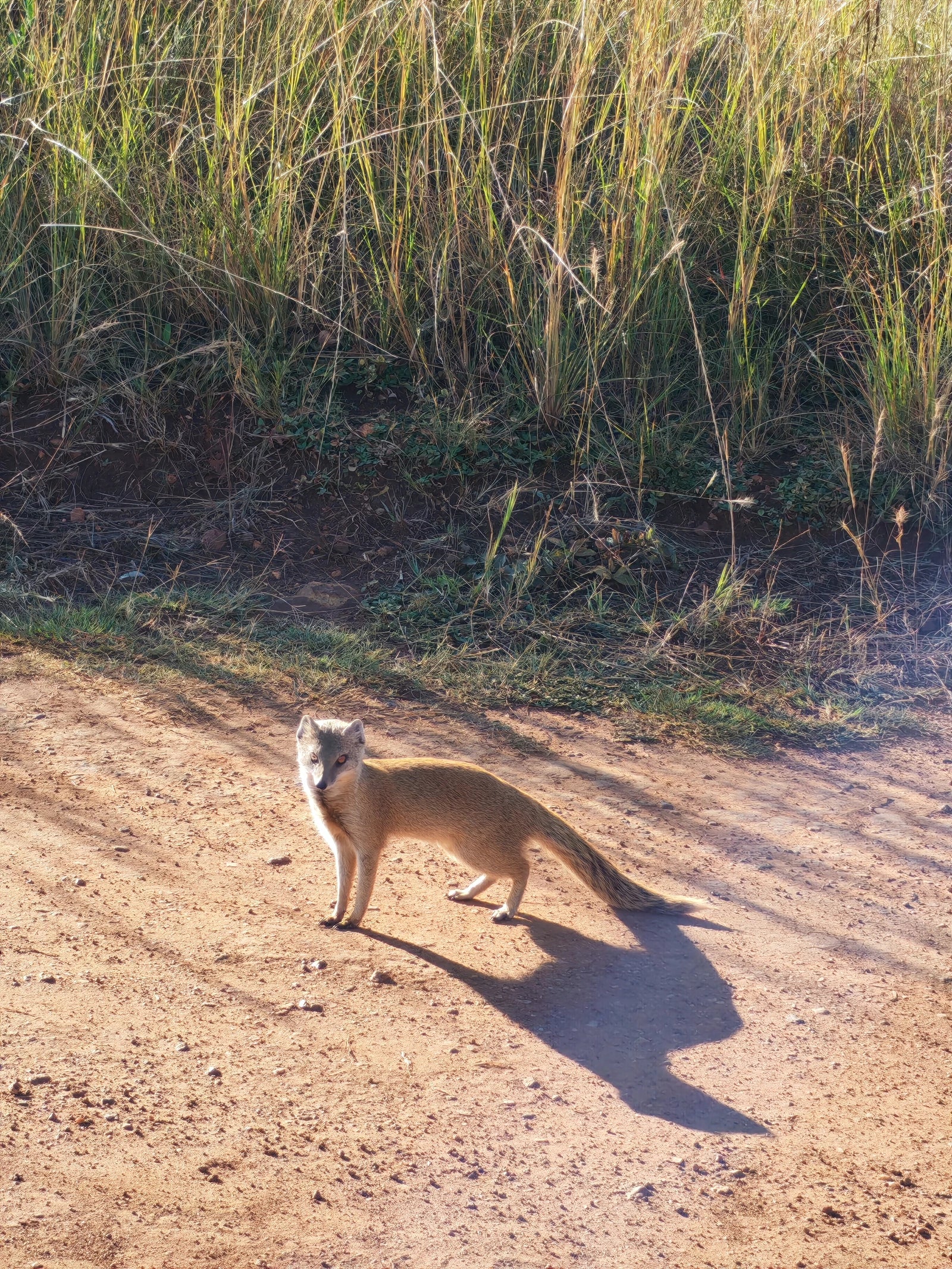 Rietvlei Nature Reserve, Pretoria South Africa