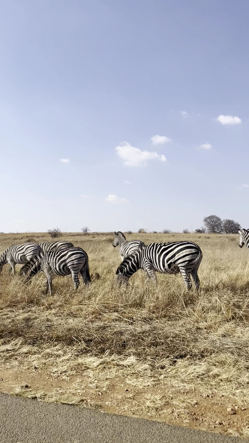 Rietvlei Nature Reserve, Pretoria South Africa