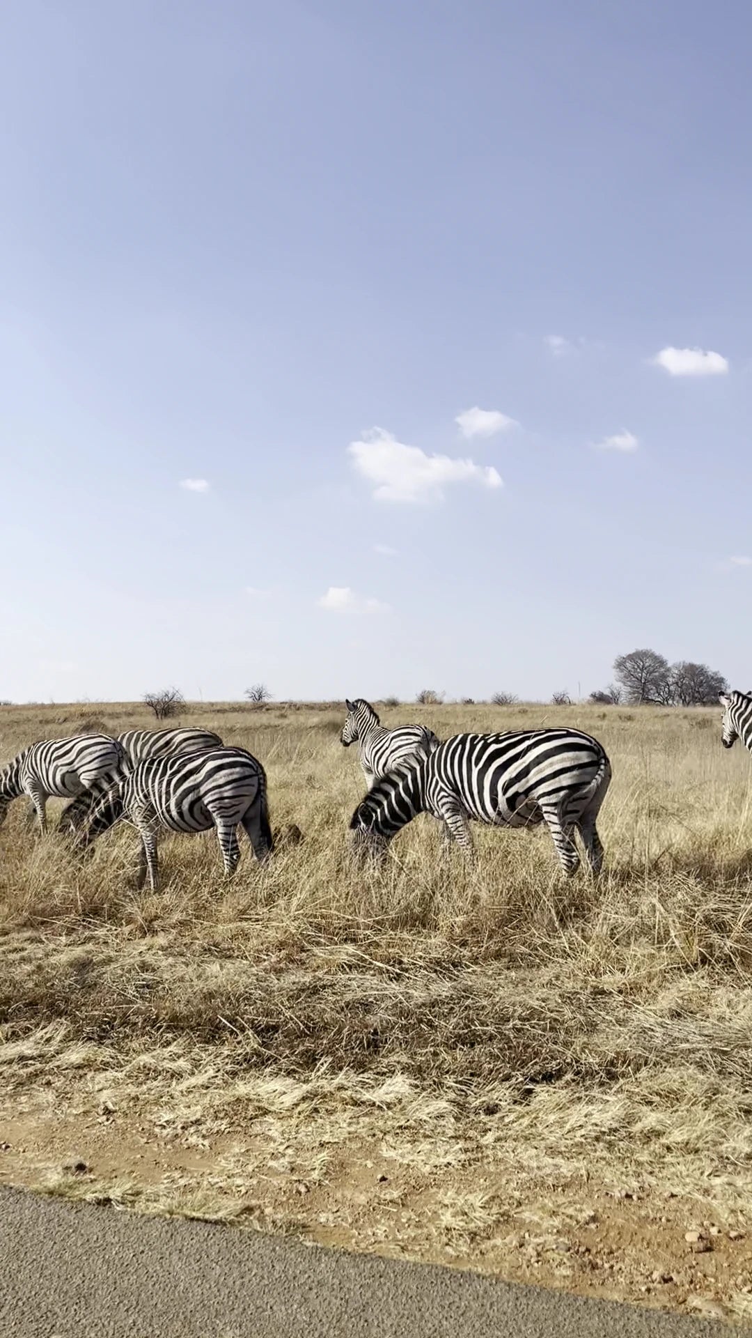 Rietvlei Nature Reserve, Pretoria South Africa