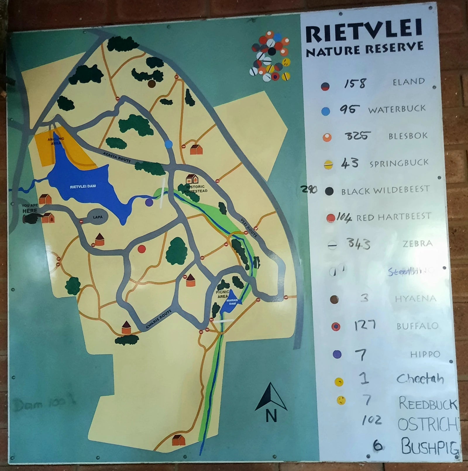 Rietvlei Nature Reserve, Pretoria South Africa