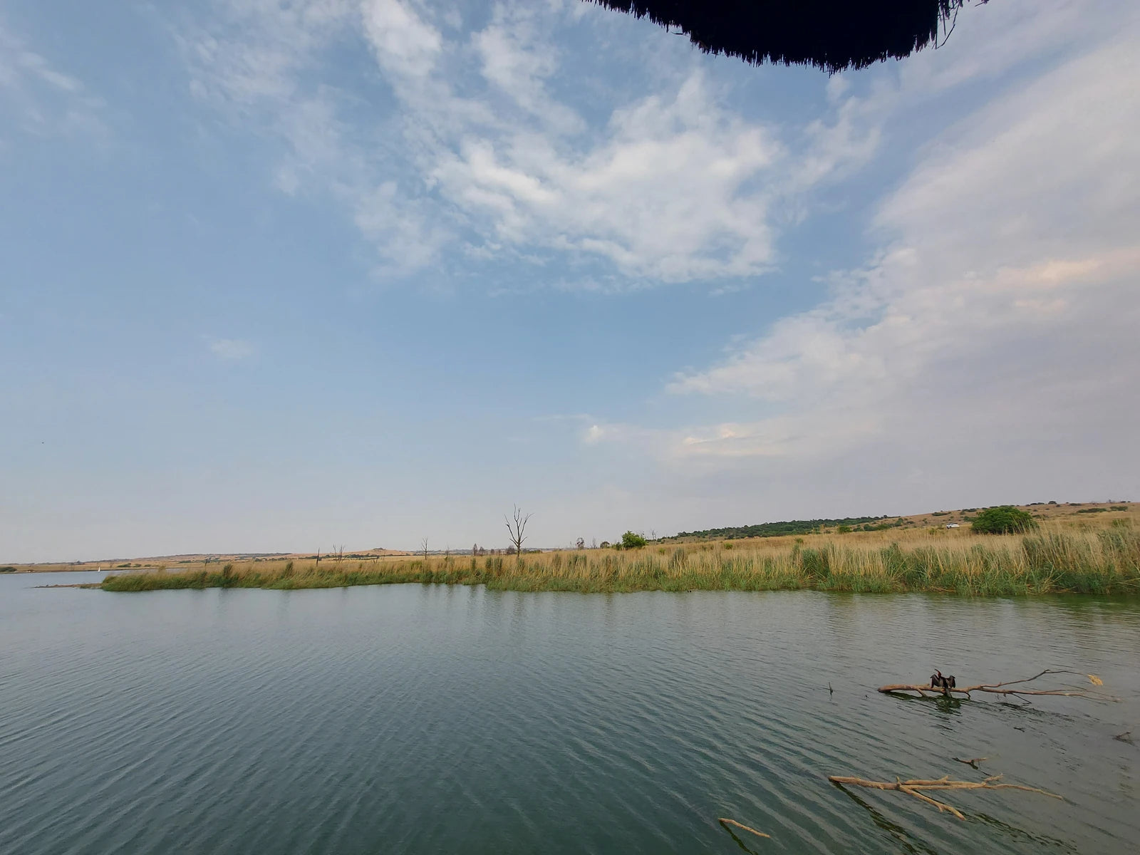 Rietvlei Nature Reserve, Pretoria South Africa