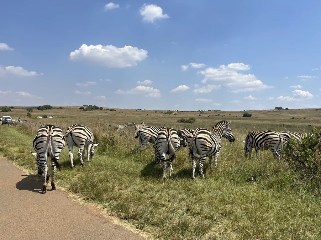 Rietvlei Nature Reserve, Pretoria South Africa