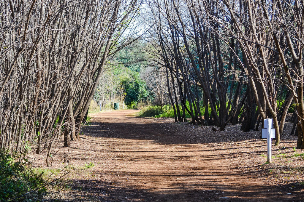 Rietvlei Zoo Farm, Alberton South Africa