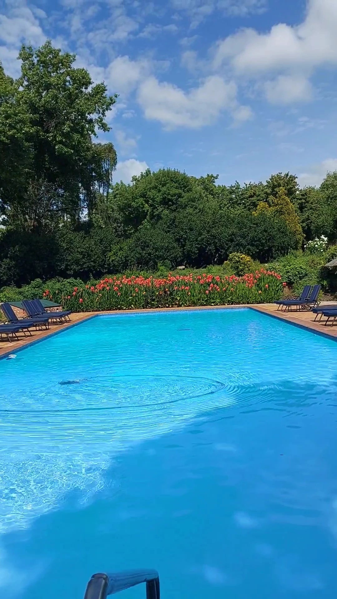 Riverside Sun, Vanderbijlpark South Africa