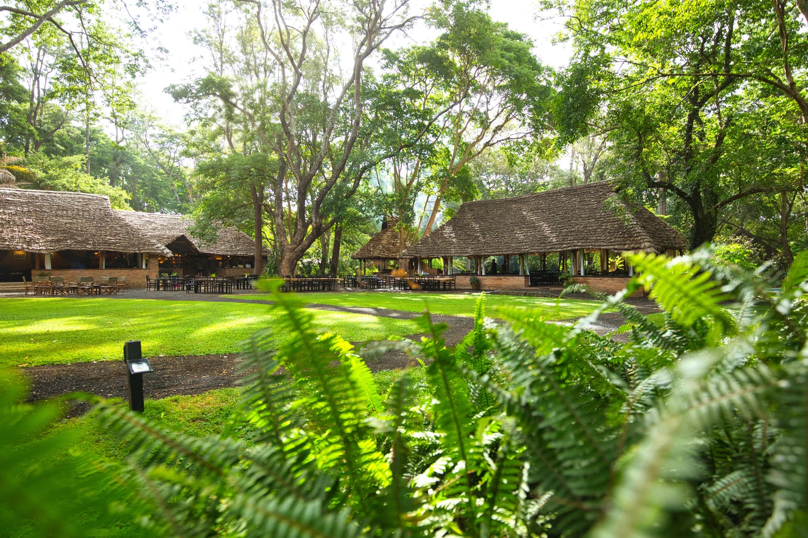Rivertrees Country Inn, Usa River Tanzania