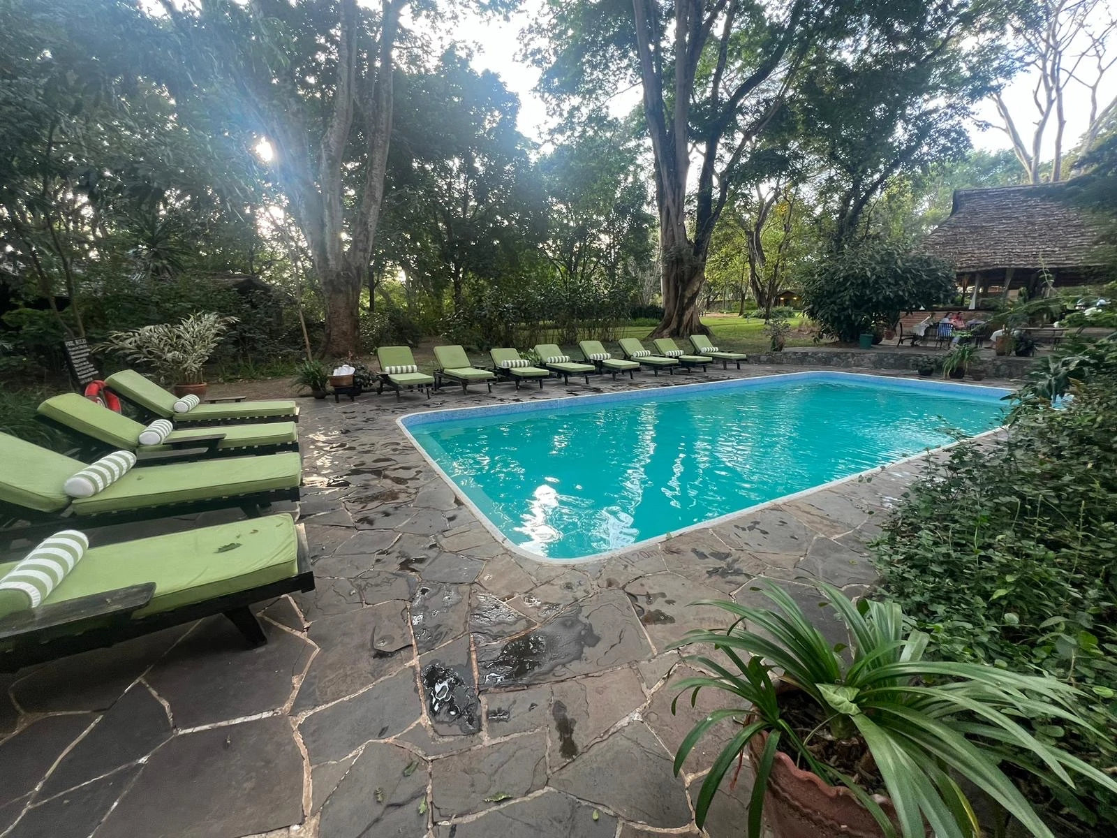 Rivertrees Country Inn, Usa River Tanzania