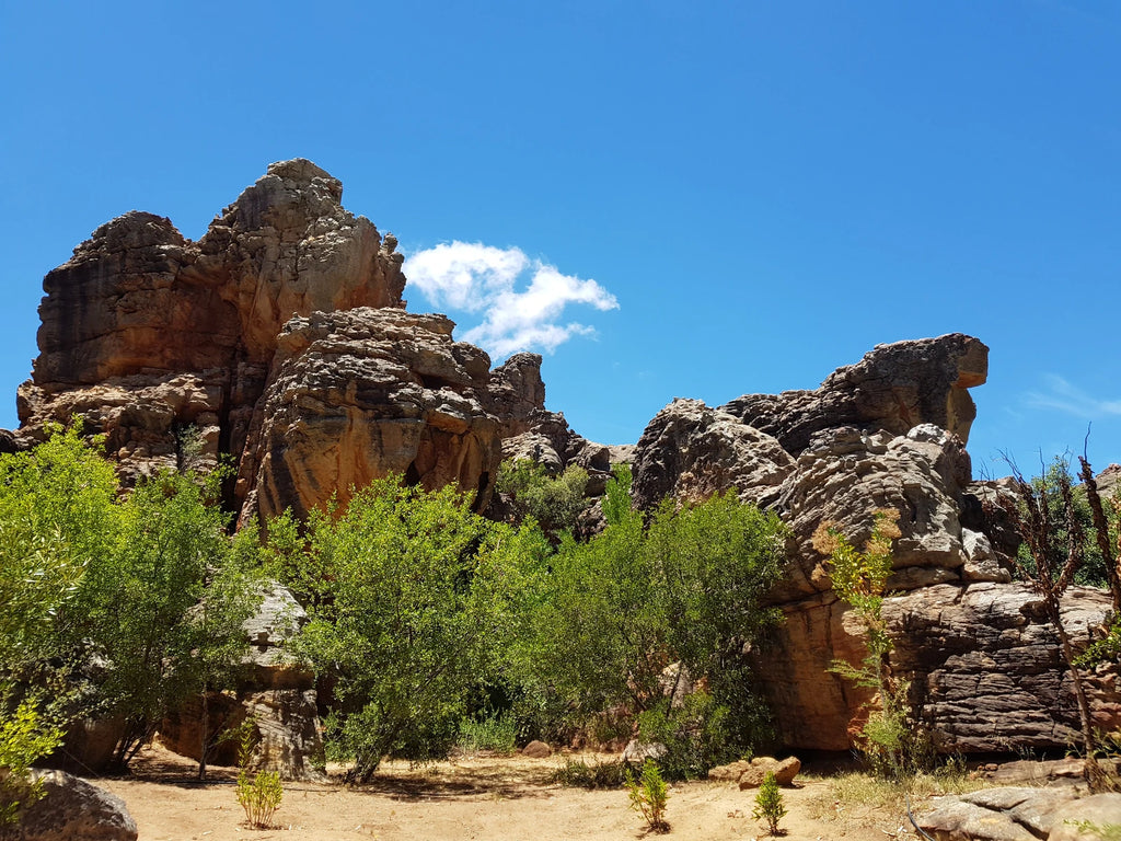 Rivierzicht River Resort, Robertson South Africa