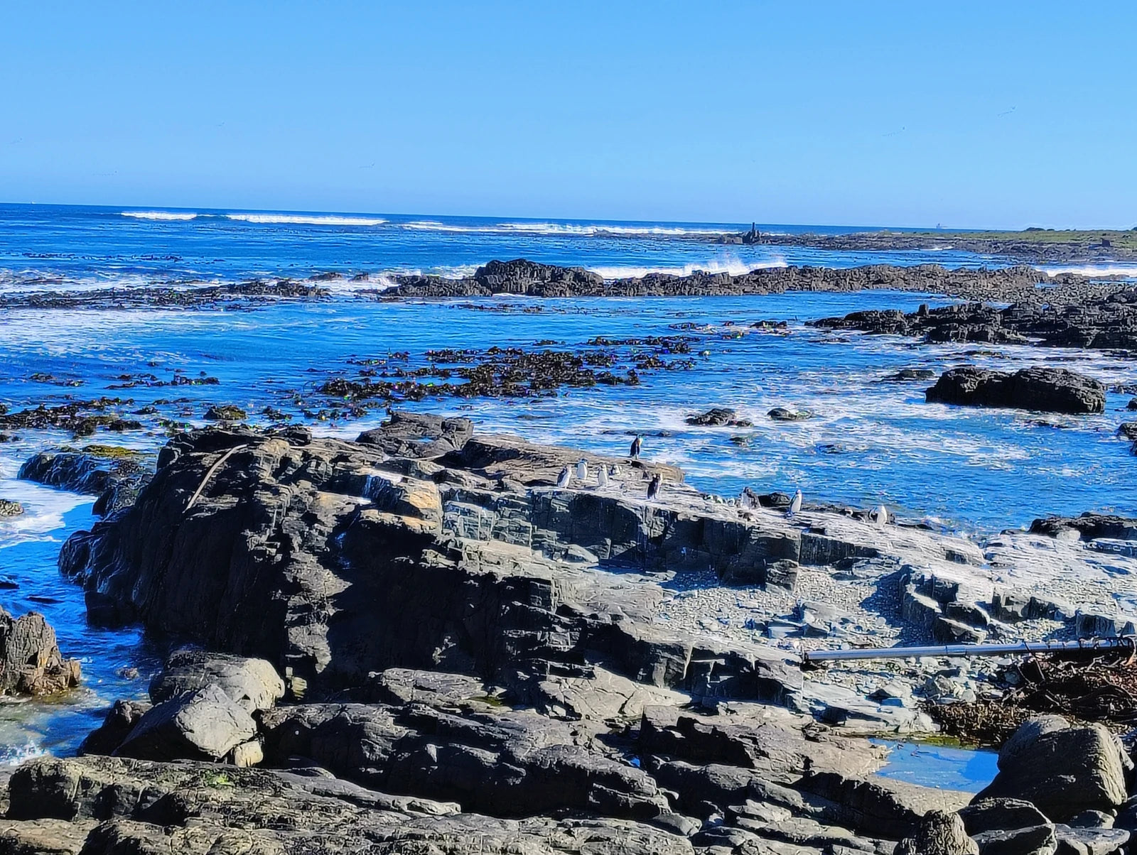 Robben Island viewing Point (looking toward Table Mountain), Robben Island South Africa