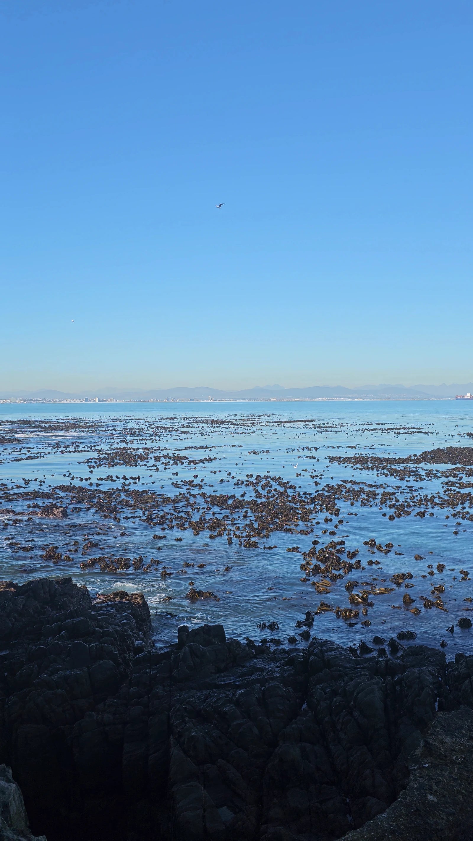Robben Island viewing Point (looking toward Table Mountain), Robben Island South Africa
