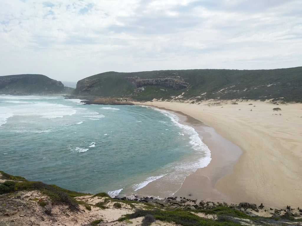 Robberg Hiking Trail, 
S34 06.037 E23 22.652 South Africa