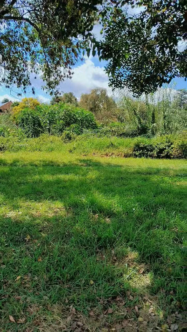 Robyn Park, Randburg South Africa