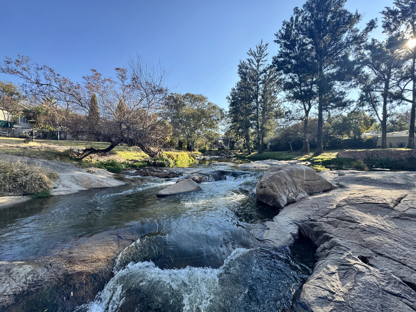 Robyn Park, Randburg South Africa