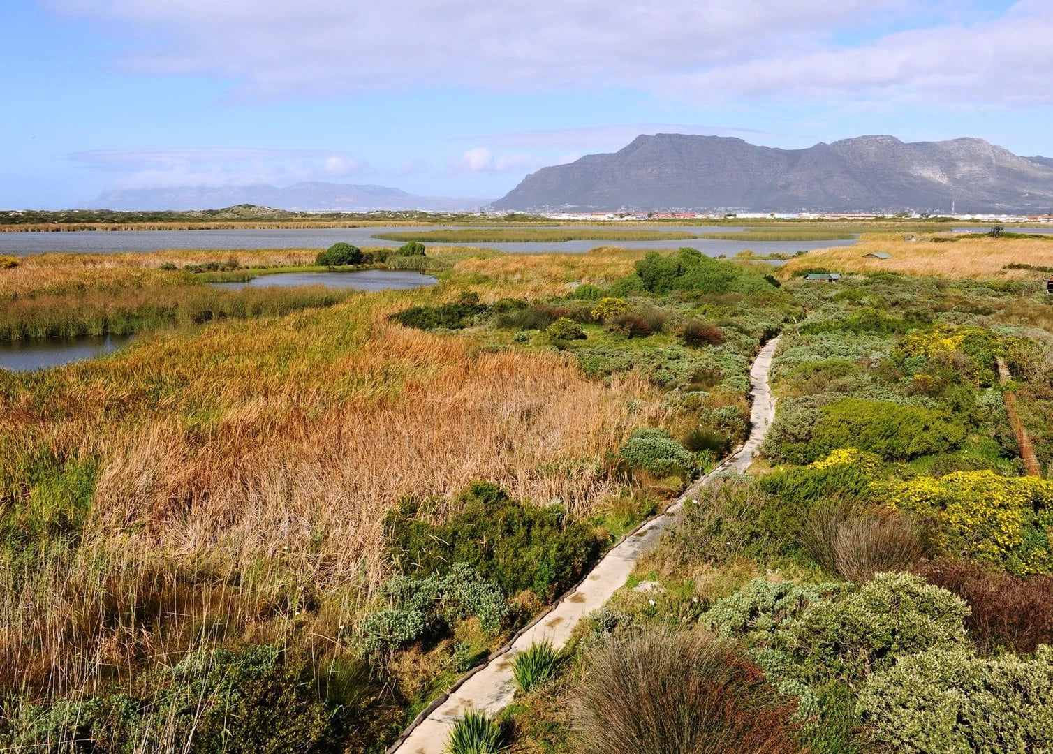 Rondevlei Nature Reserve
