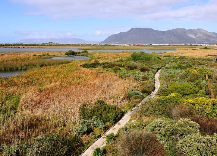 Rondevlei Nature Reserve