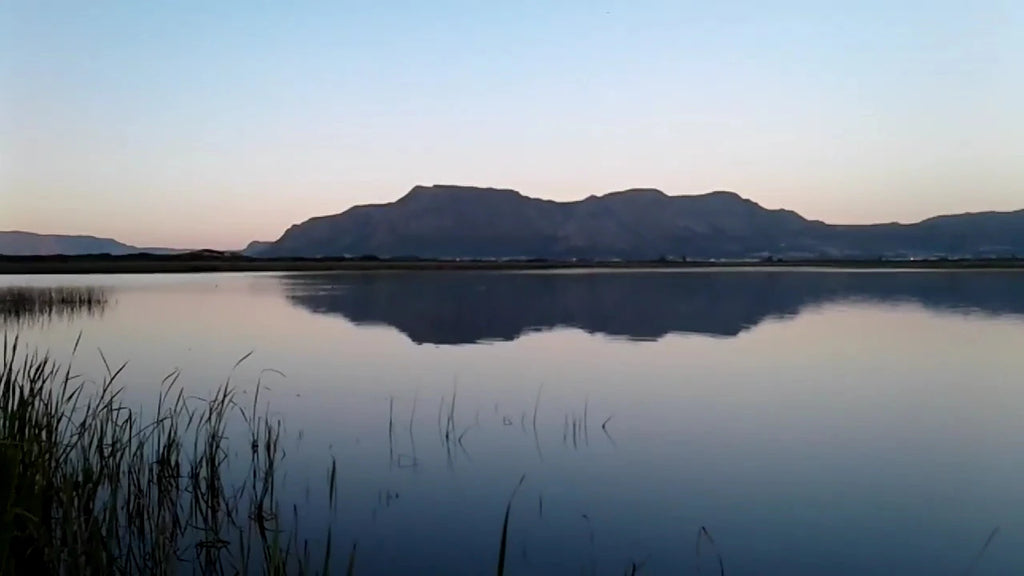 Rondevlei Nature Reserve, Cape Town South Africa