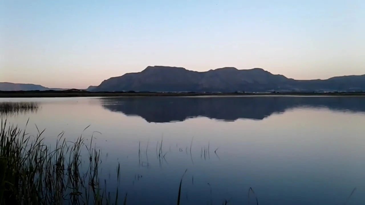 Rondevlei Nature Reserve, Cape Town South Africa