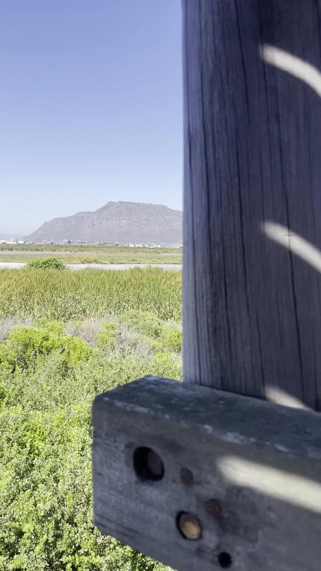 Rondevlei Nature Reserve, Cape Town South Africa
