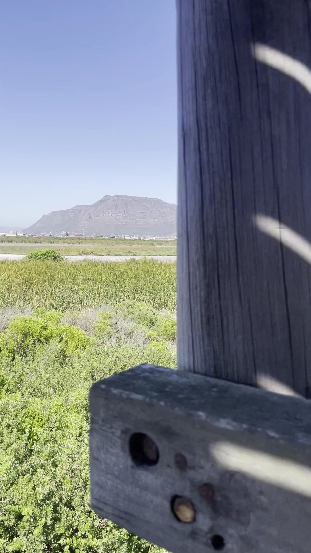 Rondevlei Nature Reserve, Cape Town South Africa